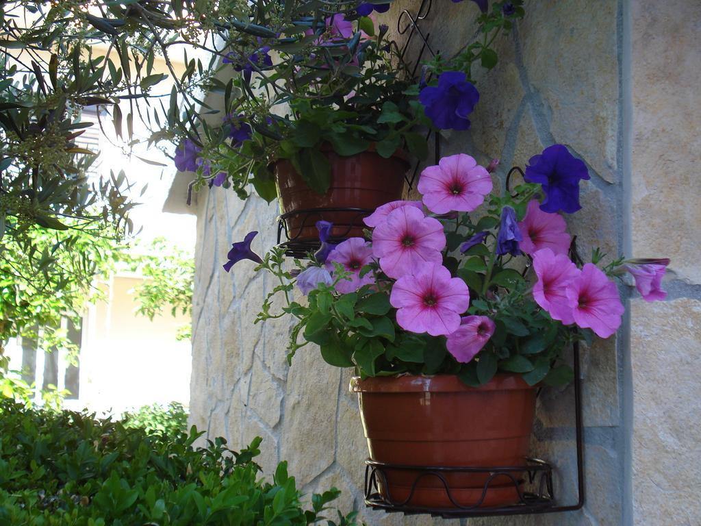 Apartments Villa Lilla Baska Voda Luaran gambar
